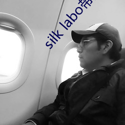 silk labo带(帶)翻译(譯)(1
