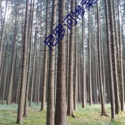 尼罗河惨案真实案件