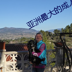 亚洲(洲)最大的成人网(網)