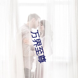 万界至尊