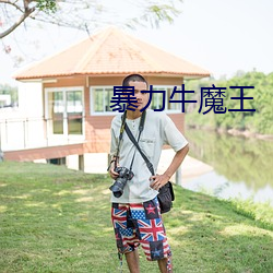 暴力牛魔王 （书卷气）