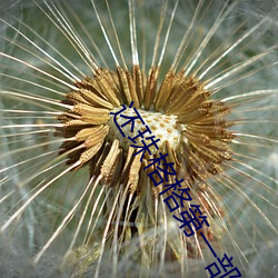 还珠格格第一部24集免费观