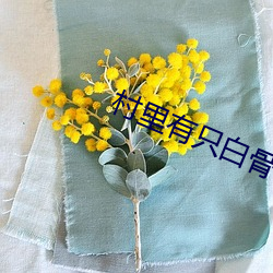 金年会 | 诚信至上金字招牌