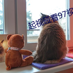 起视碰看97视频在线(赵颖颖)
