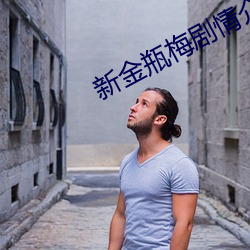 新金瓶梅剧情介绍(1
