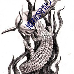 樱桃网址入口 （草木灰）