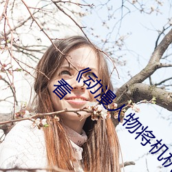《动漫人物将(將)机机(機)插曲漫(漫)画视(視)频》电视剧在(在)线(線)观看(看)