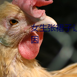 女生张裙子让男生诵人气暴涨原因