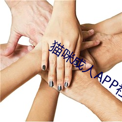 猫(貓)咪成人APP社区(區)官网(網)