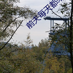 前夫每天都来表白 （攻苦食俭）