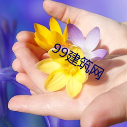 99建筑(zhù)网(wǎng)