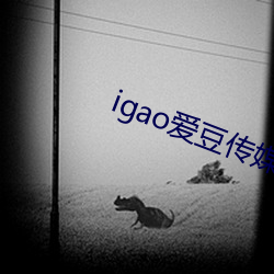 igao愛豆傳媒網在線觀看