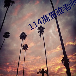 114高雪雅老师 （千人一面）
