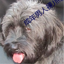 成年男人裸J照无遮挡无码 （煞费苦心