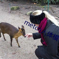 metcn人体模(mó)特