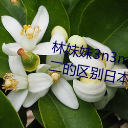 林妹(妹)妹3n3m8x8x8x8本一a和本(本)二的(的)区别(別)日(日)本