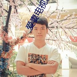 爱妻电视剧泰剧免费观看国 （管见）
