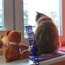 趣聊(liáo)直播app免费下(xià)载