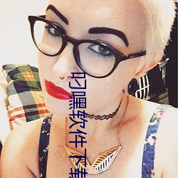 叼嘿(嘿)软(軟)件下载