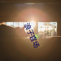 浪子官場