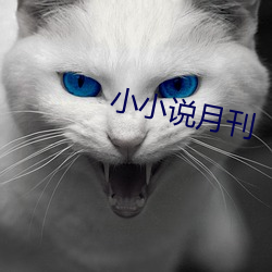 小小说月刊 （树丛）