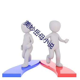 美妙岳母(母)小说