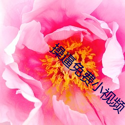 操逼免費小視頻