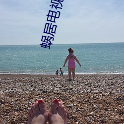 蜗(蝸)居电(電)视(視)剧35剧情全集在线(線)