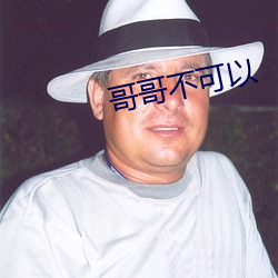 哥哥不可以