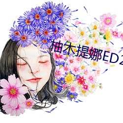 柚木提娜ED2K （价位）