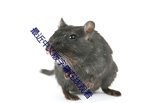最近中文版字幕在线观看 （无敌天下）
