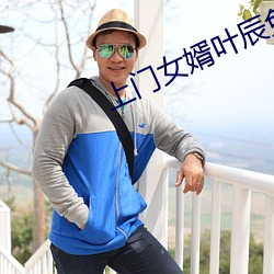 上门女婿叶(葉)辰免费阅(閱)读