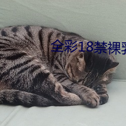 全(quán)彩18禁裸乳羞羞(xiū)漫画免(miǎn)费阅读