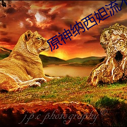原(原)神纳西妲流不明(明)液体(體)A区