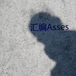 汇编Asses （不问不闻）