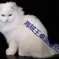 ֽ  ѹ