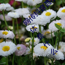 网传抖(dǒu)音(yīn)聂小雨黑色皮(pí)衣5分37秒在线(xiàn)观看具(jù)体是什么