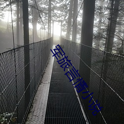 军旅言情小说