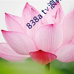 838a t∨浪花直播苹(píng)果