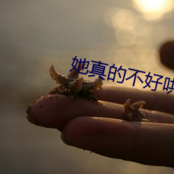 她真的不好哄