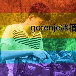 gorenje冰箱