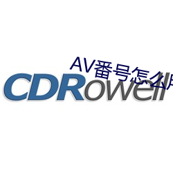 AV番号怎么用