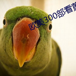 欧(ōu)美300部看(kàn)黄禁用