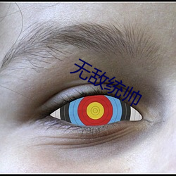 无(wú)敌(dí)统帅