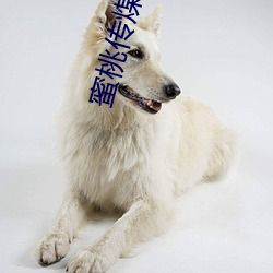 蜜桃传煤18传媒在线播放