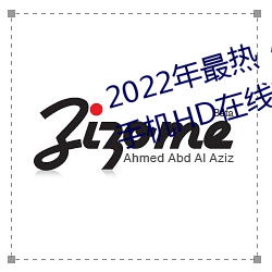 2022年最热《木下凛凛子贵妇人》手机HD在线观看