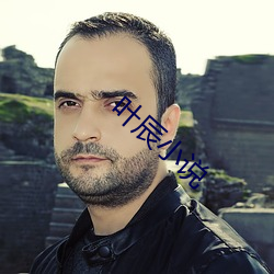 叶(葉)辰小(小)说