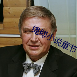 绳缚小说章节 （目无余子）