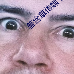 羞(羞)含(含)草传媒下载