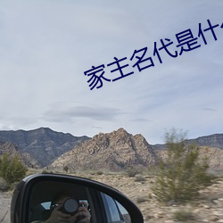 家主名代是什么意思